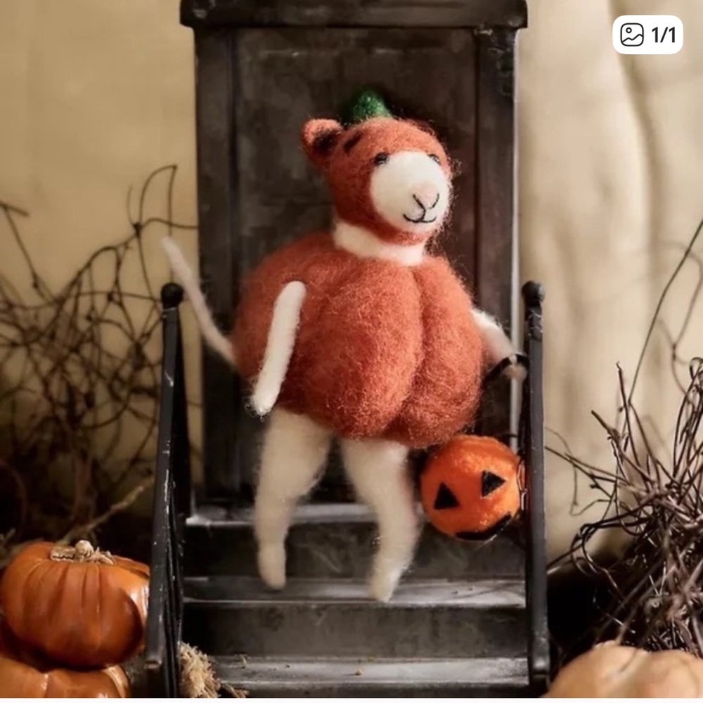 Anthropologie Terrain Cat Pumpkin NWT